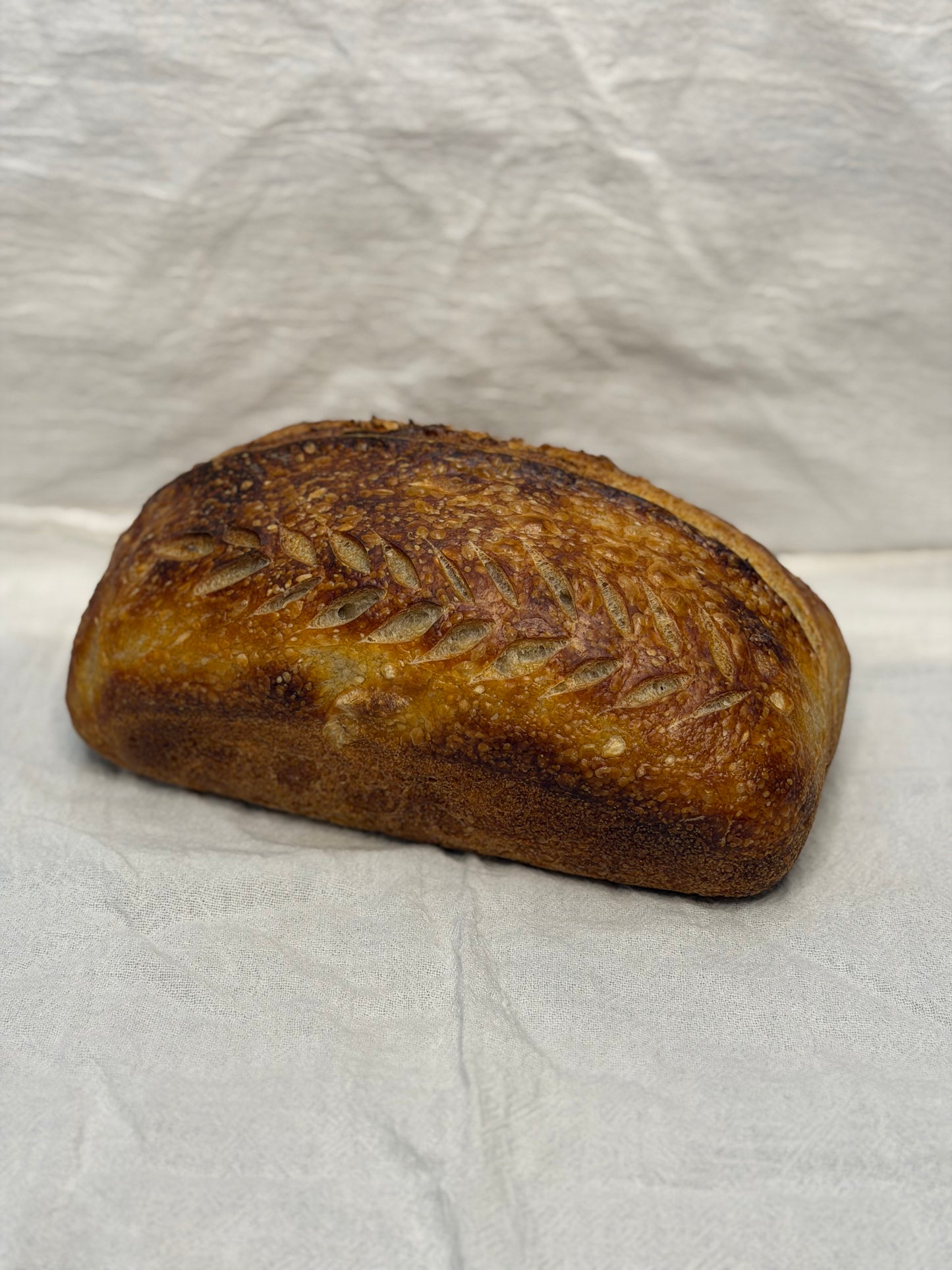 Classic Sourdough Loaf